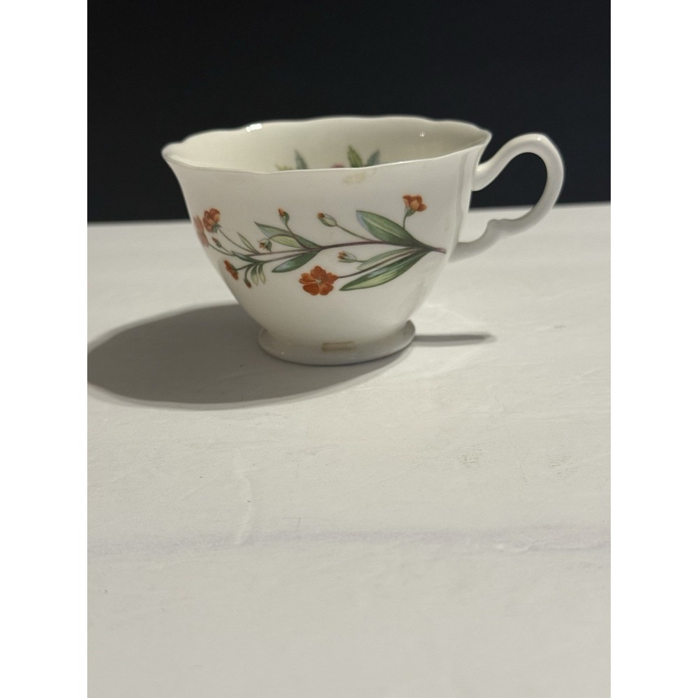 Minton Meadow B-1461 Actaea Ramunculus Bone China Teacup England Replacement